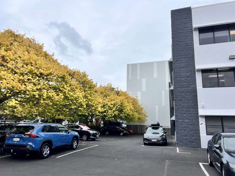 3 Margot Street Epsom_9