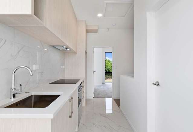 65A Ash Street Avondale_4
