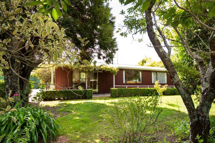 4 Nelson Place Renwick_14