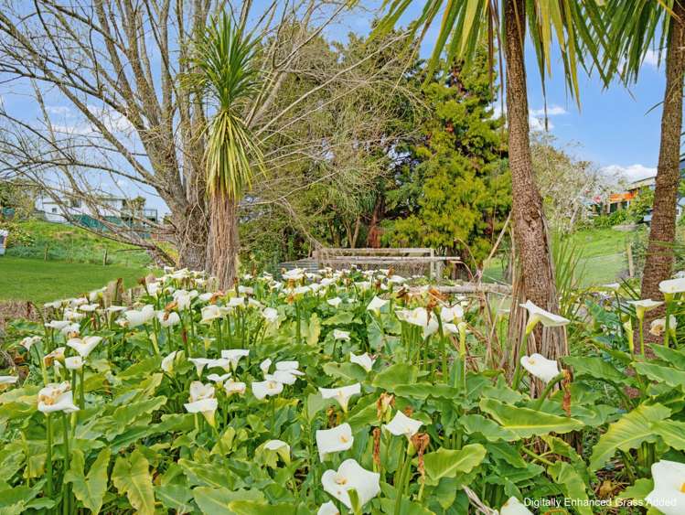 43 Woodlands Road Opotiki_26