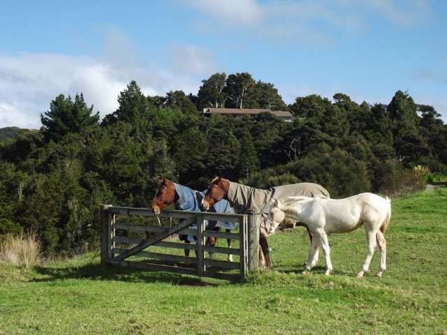 Prescott Road Ruakaka_3