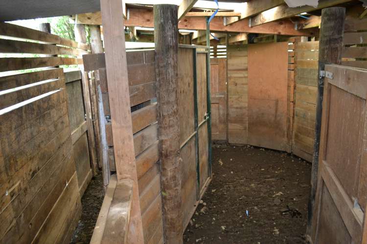 227 Overtons Road Scargill_10