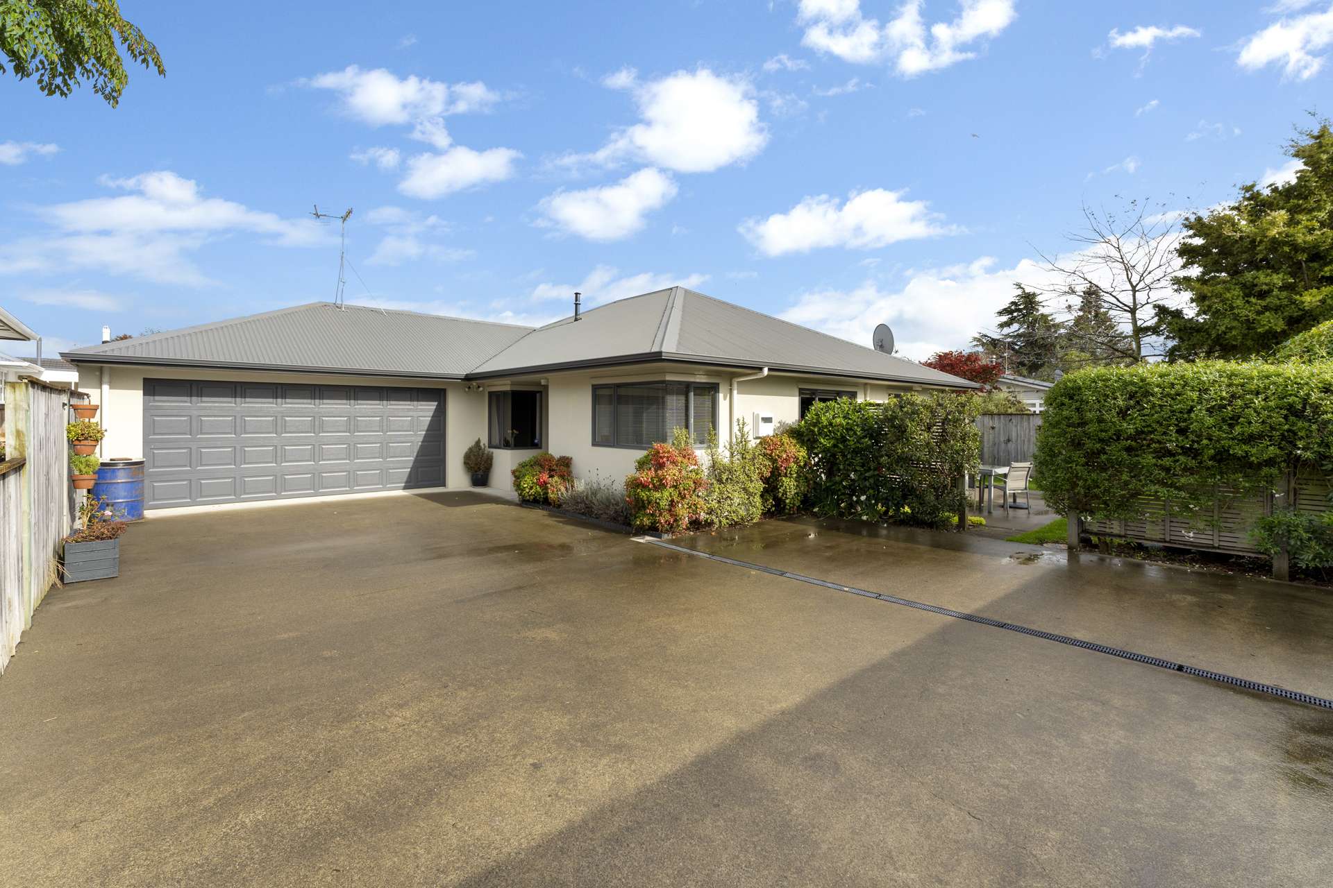 43a George Street Levin_0