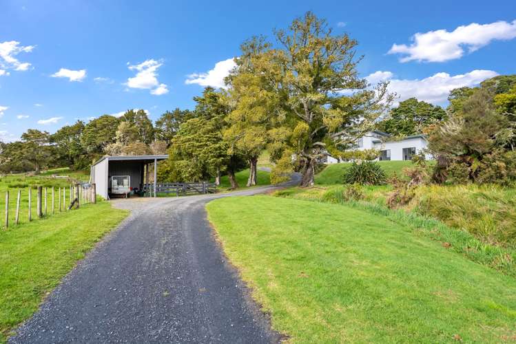 198 Harris Road Glenbervie_3