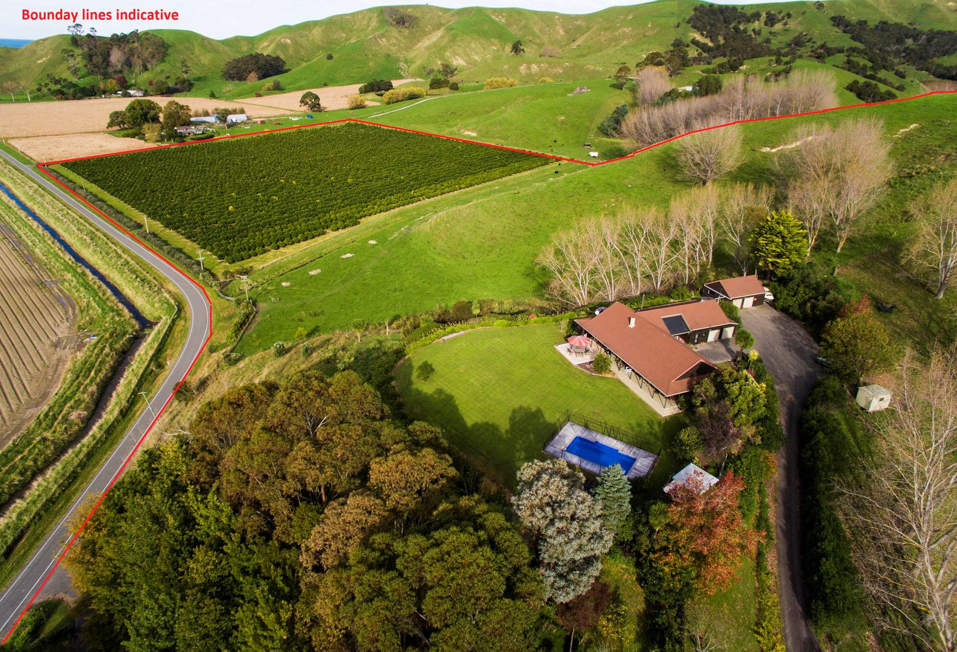 52 Saddler Road Muriwai_0