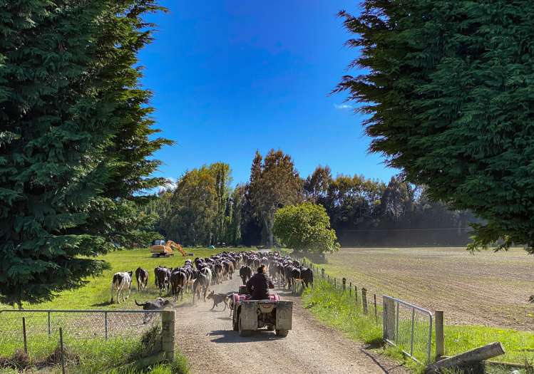 1338 Kakapo Road Te Anau Surrounds_6