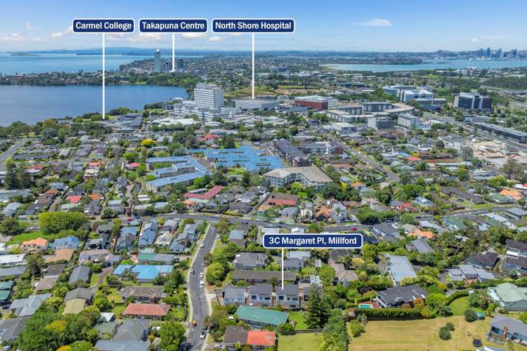 3c Margaret Place Milford_23