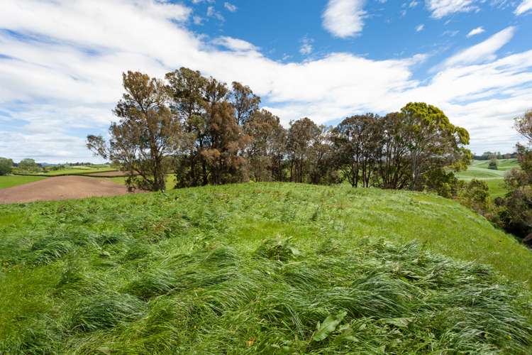 Waotu Road Putaruru_5