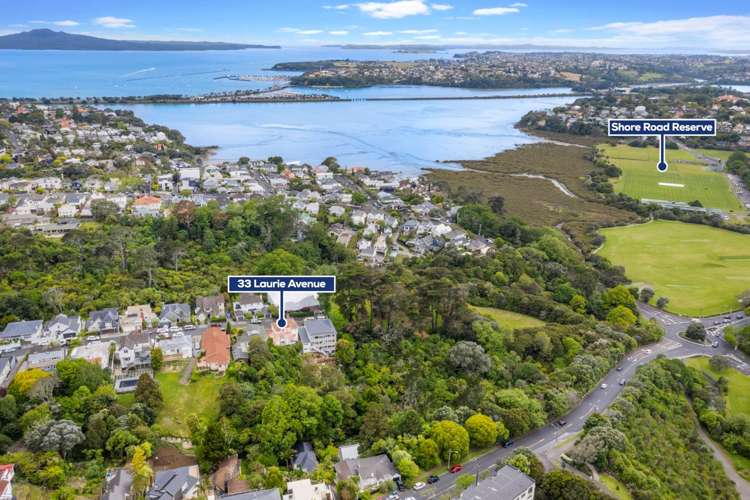 33 Laurie Avenue Parnell_20