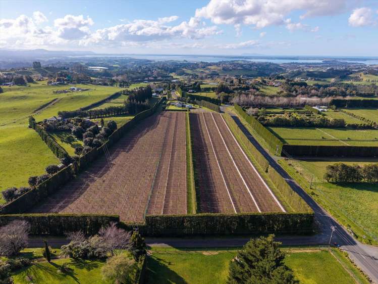 640 Esdaile Road Whakamarama_26