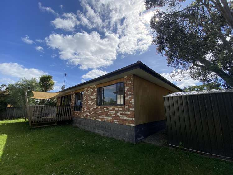 8a Glendon Avenue Avondale_12