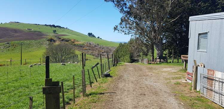 759 Adams Flat Road Balclutha_3