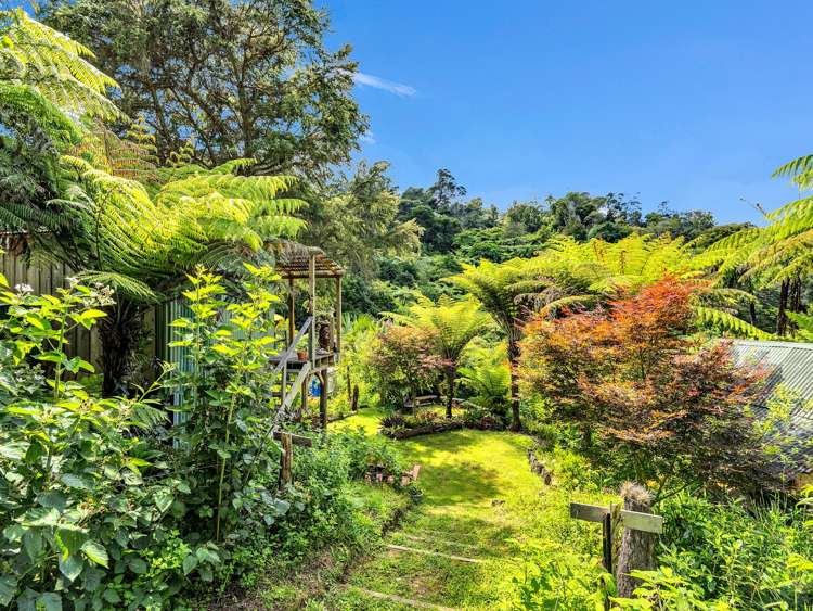 Ohiwa Loop Road Waiotahi_30