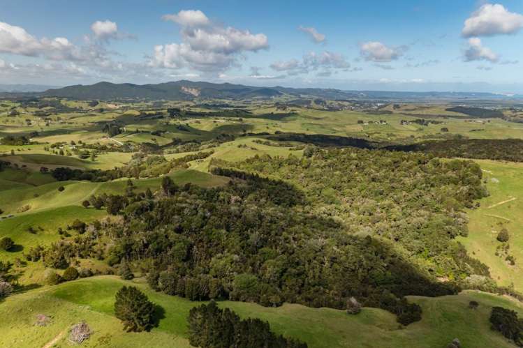 Church Road Kaitaia_5