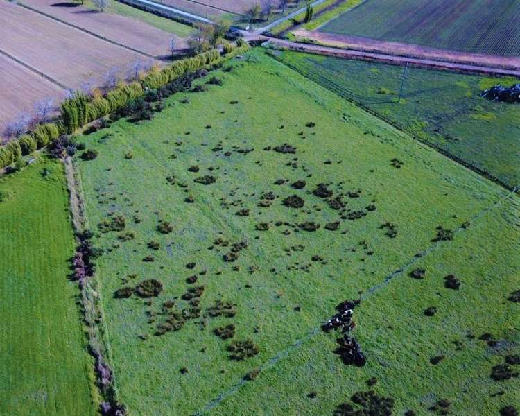 85 Grigg Street Kaitaia_3