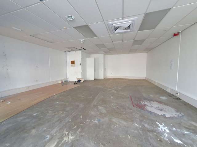 Unit 4/375 Khyber Pass Road Newmarket_2