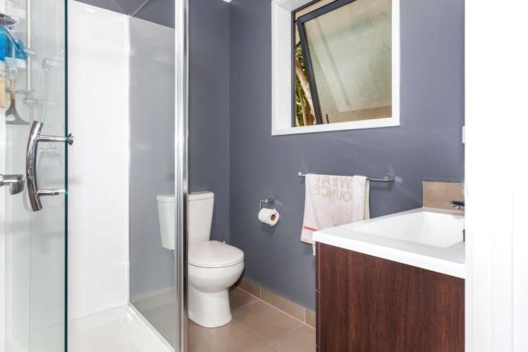 150 Beech Lane Coromandel_13