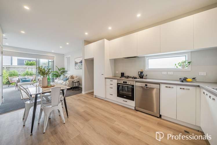 28a Freyberg Street Waterloo_3
