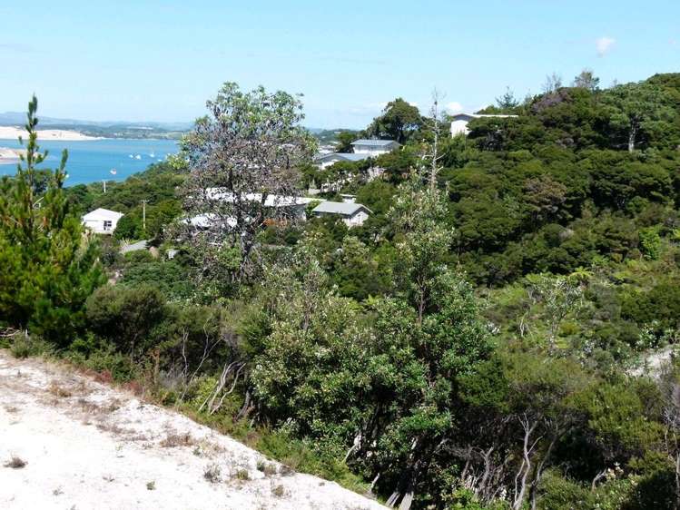 1 Pakiri Way Mangawhai Heads_13