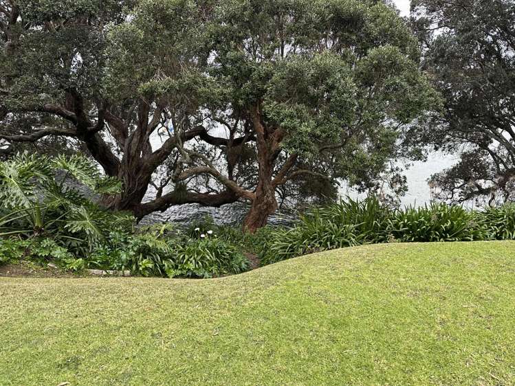 11a Lynch Street Point Chevalier_21