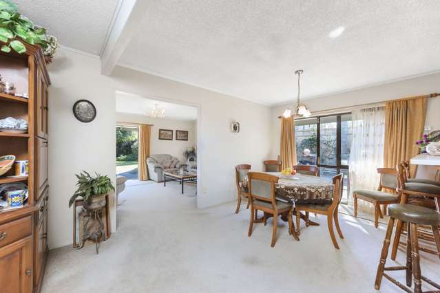 53 Sunrise Avenue Mount Maunganui_1