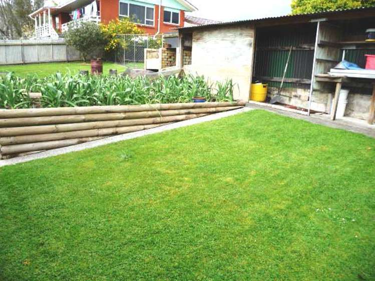 21 Terrace Street Putaruru_23