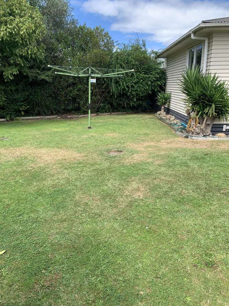 6 Larnach Street 1148_15
