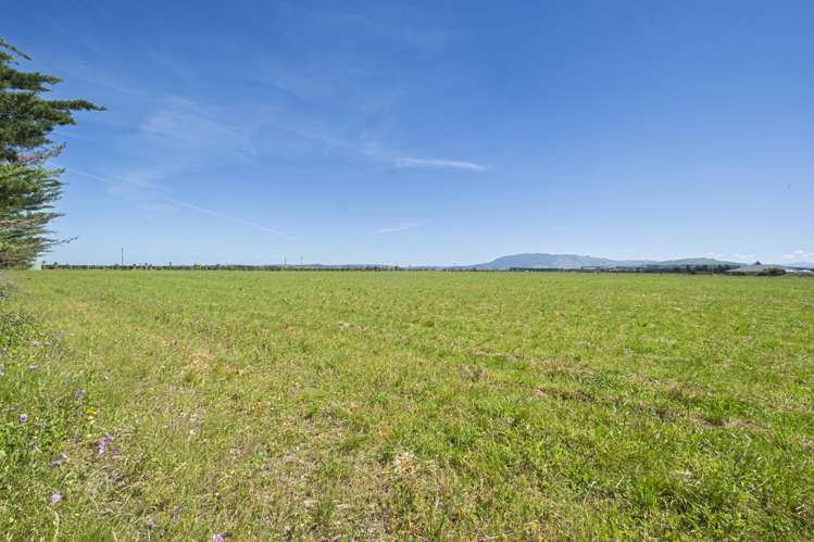 136 Purchas Road Amberley_10