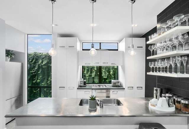 16/28 Williamson Avenue Grey Lynn_4