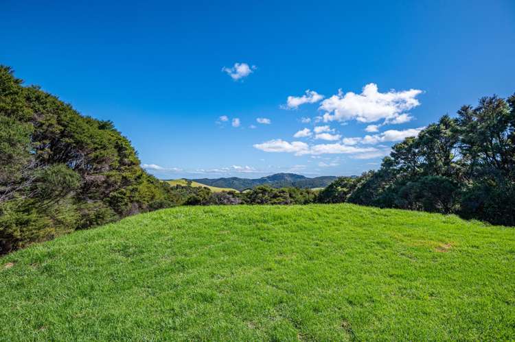 143 Cowes Bay Road Waiheke Island_6