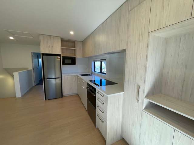 101/73 Ferry Road Christchurch Central_2