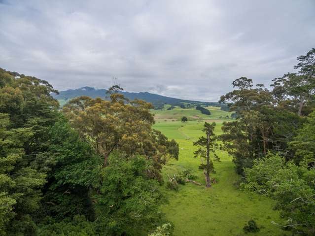 235 Kakaramea Road Pirongia_3