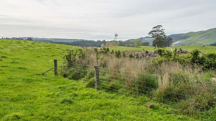 1241 Blythe Road Domett_14