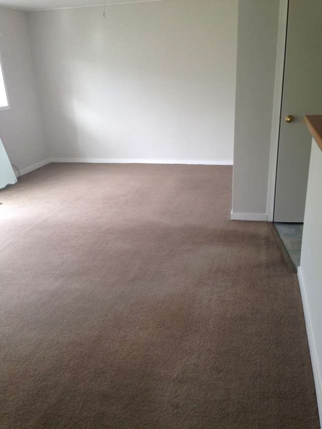 105a Kiwi Road Whangamata_2