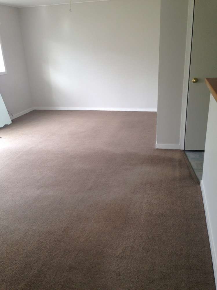 105a Kiwi Road Whangamata_2