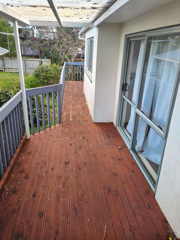 486A Hillsborough Road Mount Roskill_5