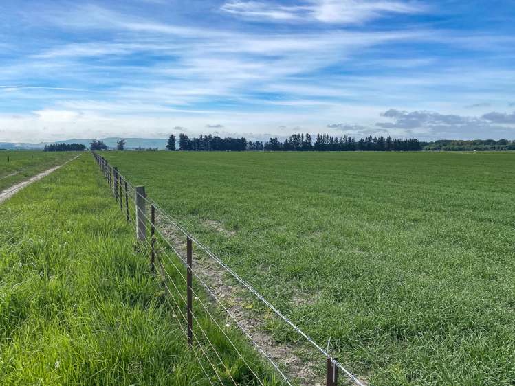 311 Hamilton Road Fairlie_7