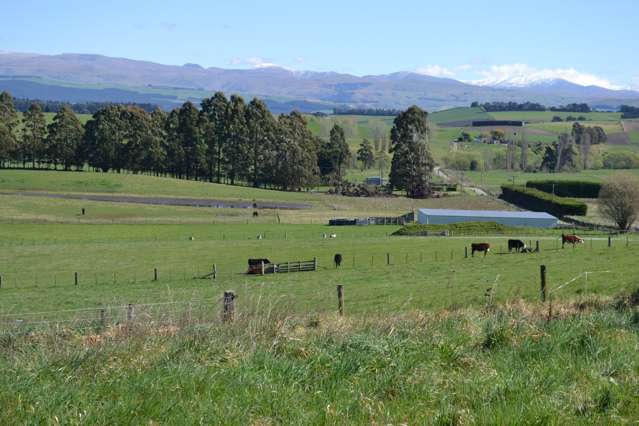 82 Waiareka Valley Road Alma_4