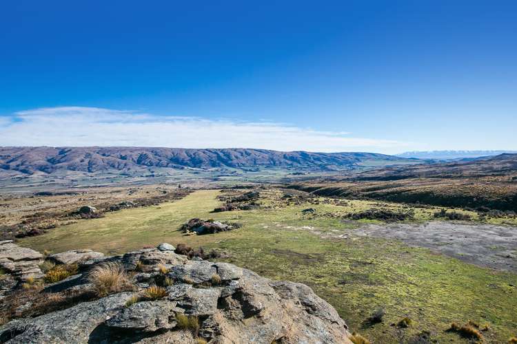 715 Hyde-Macraes Road Hyde_10