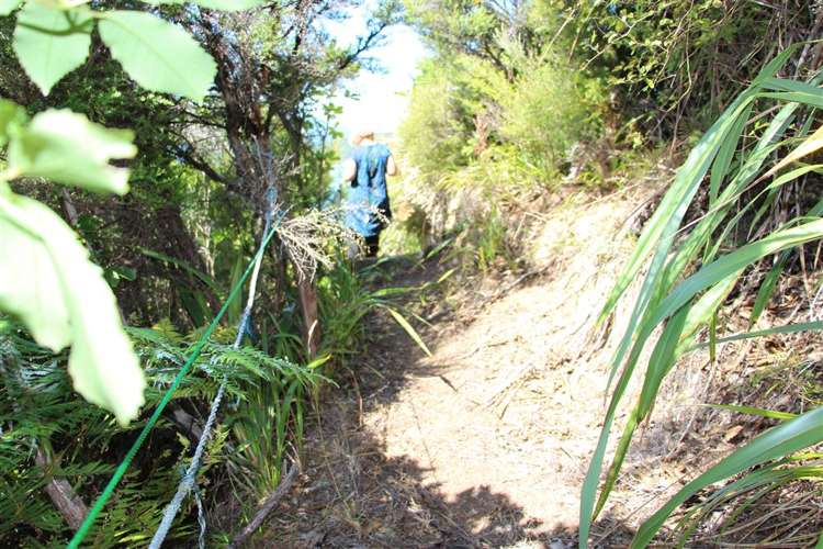 Bay Of Many Coves Marlborough_14