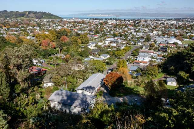 1 5/36 Sievwright Lane Whataupoko_2