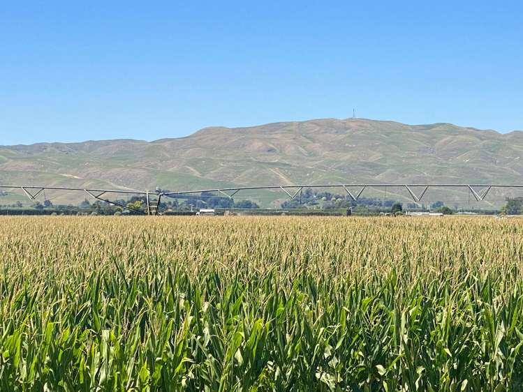 1355 Railway Road South and 656 Te Aute Road Longlands_5