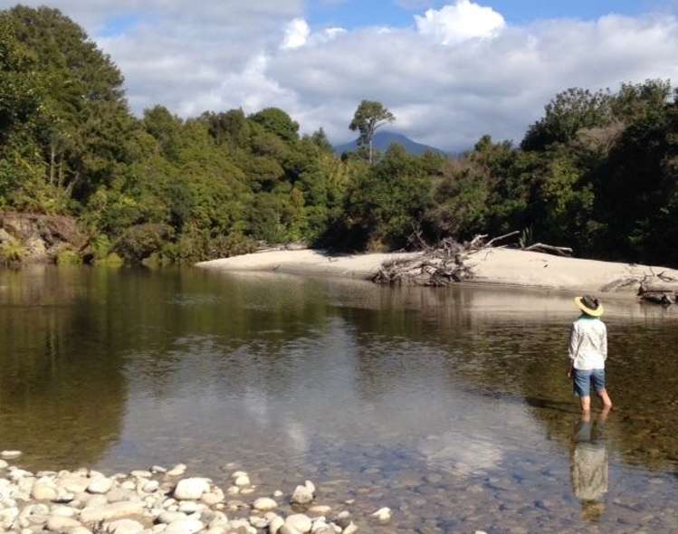 115 Birds Ferry Road Cape Foulwind_29