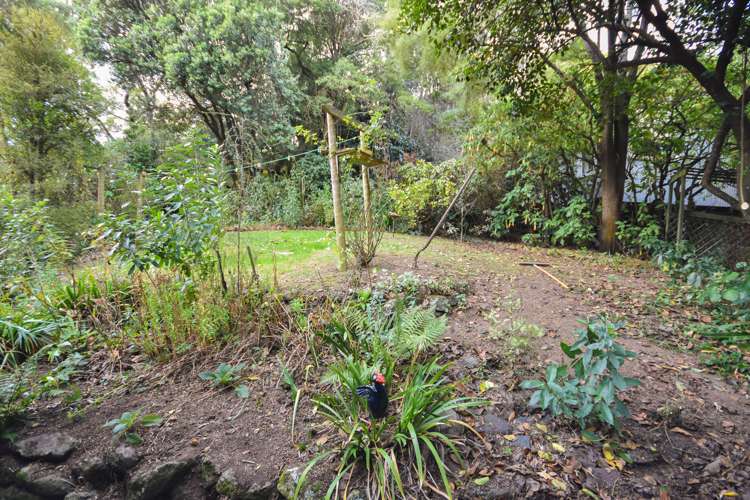 3 Howard Street Macandrew Bay_19