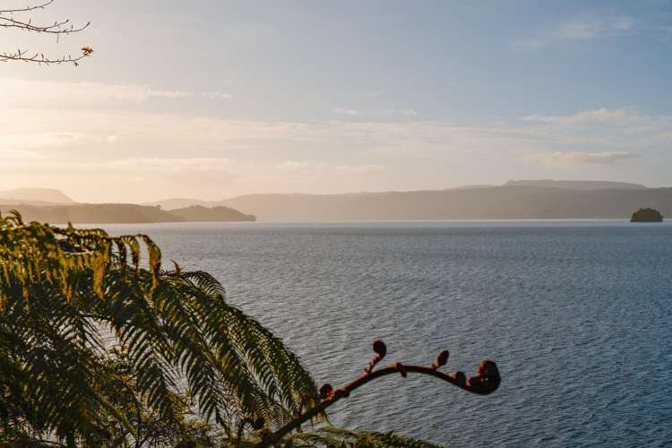 364 Maniatutu Road_3