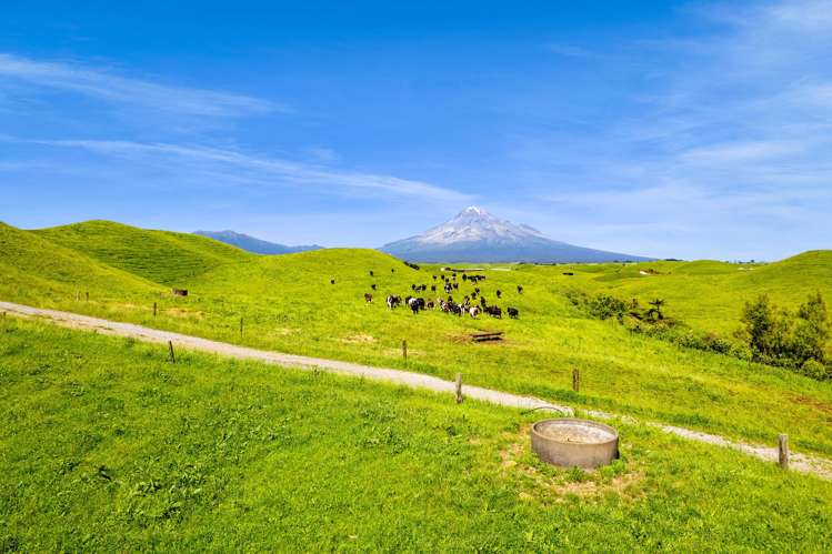 617 Parihaka Road Pungarehu_13