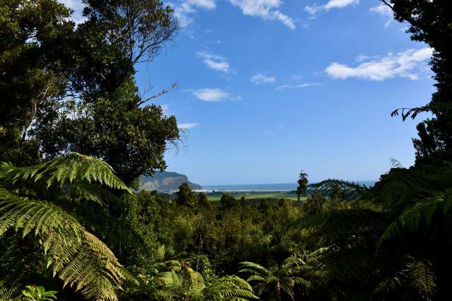 78a Wangapeka Road Kahurangi National Park_1