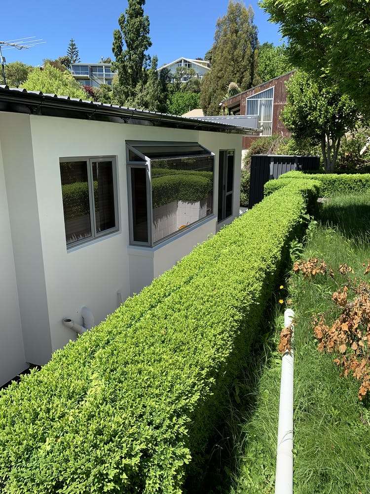 86 Kidson Terrace Cashmere_24