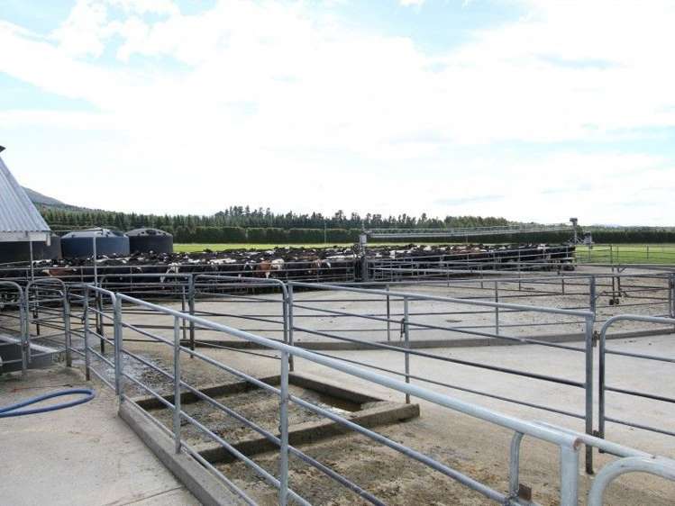 149 Mclennans Bush Road Methven_12