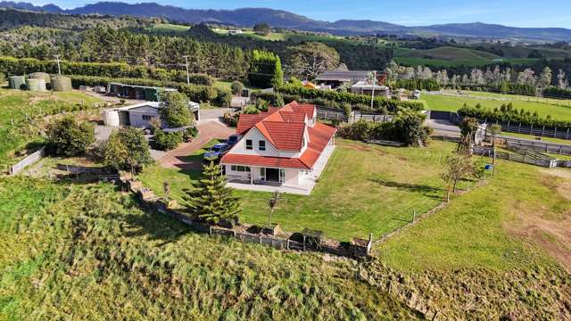 687 Work Road Whakamarama_3